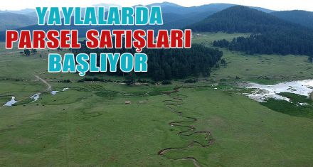 YAYLALARDA PARSEL SATIŞLARI BAŞLIYOR 