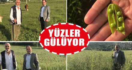 YEM BİTKİLERİ YÜZLERİ GÜLDÜRÜYOR