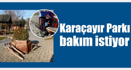 Bu görüntüler Bolu'ya yakışmıyor