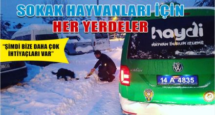 SOKAK HAYVANLARI İÇİN HER YERDELER