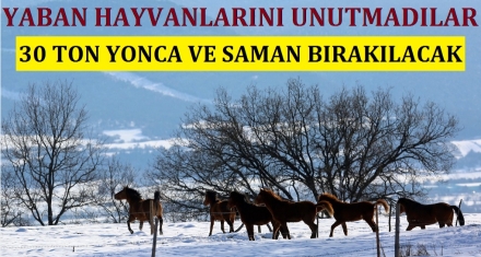 Yaban hayvanlarını unutmadılar