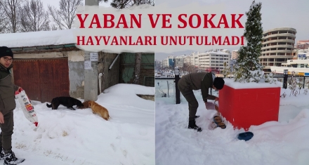 Yaban ve sokak hayvanları unutulmadı