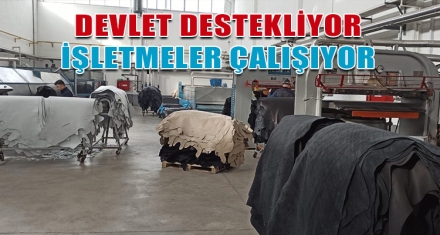 BOLU'DA DEVLET DESTEKLİYOR İŞLETMELER ÇALIŞIYOR