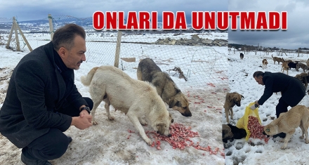 ONLARI DA UNUTMADI 