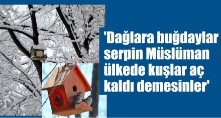 Yaban hayvanlarına can oldular 