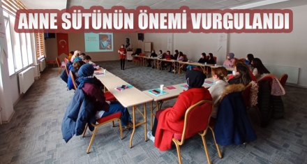 ANNE SÜTÜNÜN ÖNEMİ VURGULANDI