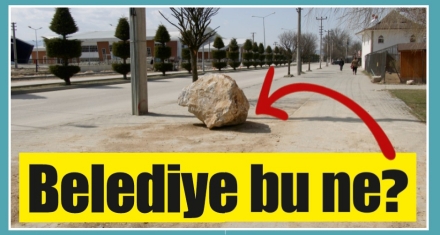 Belediye bu ne?