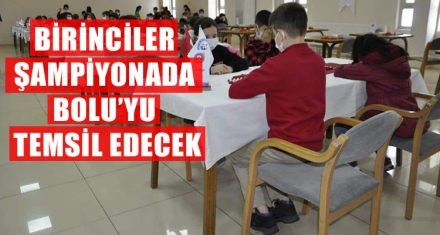 İLKOKULLAR ARASI AKIL VE ZEKA OYUNLARI YARIŞMASI DÜZENLENDİ