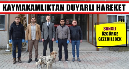 KAYMAKAMLIKTAN DUYARLI HAREKET
