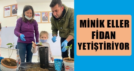 MİNİK ELLER FİDAN YETİŞTİRİYOR