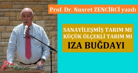 SANAYİLEŞMİŞ TARIM MI KÜÇÜK ÖLÇEKLİ TARIM MI? IZA BUĞDAYI 