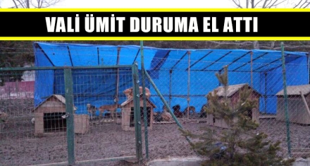 VALİ ÜMİT DURUMA EL ATTI