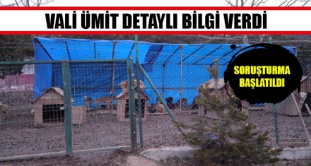 VALİ ÜMİT: “SORUŞTURMA BAŞLATILDI”