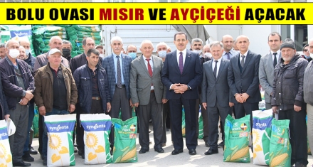BOLU OVASI MISIR VE AYÇİÇEĞİ AÇACAK