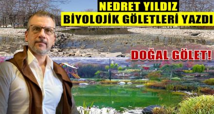 DOĞAL GÖLET!