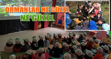 ORMANLAR NE GÜZEL NE GÜZEL