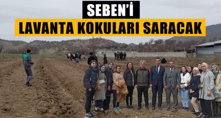 SEBEN'İ LAVANTA KOKULARI SARACAK