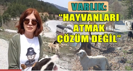 VARLIK, “HAYVANLARI ATMAK ÇÖZÜM DEĞİL”