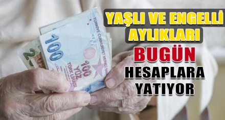 YAŞLI VE ENGELLİ AYLIKLARI BUGÜN HESAPLARA YATIYOR