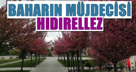 BAHARIN MÜJDECİSİ HIDIRELLEZ