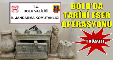 BOLU'DA TARİHİ ESER OPERASYONU 