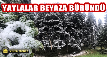 KAR YAĞIŞI BAŞLADI