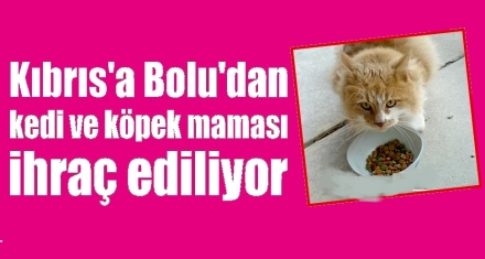 Kıbrıs'a Bolu'dan kedi ve köpek maması ihraç ediliyor 