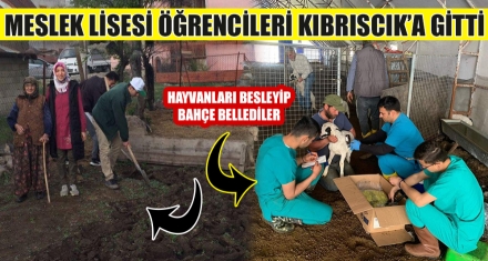 MESLEK LİSESİ ÖĞRENCİLERİ KIBRISCIK'A GİTTİ