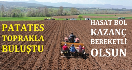 PATATES TOPRAKLA BULUŞTU