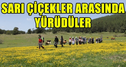 SARI ÇİÇEKLER ARASINDA YÜRÜDÜLER