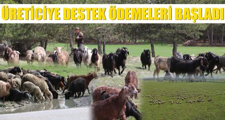 ÜRETİCİYE DESTEKLER DEVAM EDİYOR