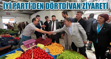 İYİ PARTİ'DEN DÖRTDİVAN ZİYARETİ