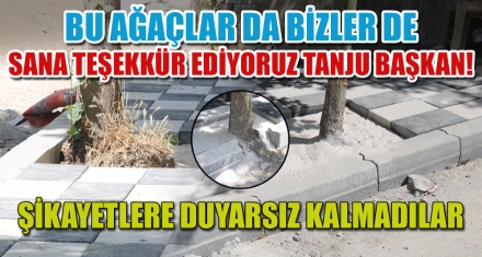 ŞİKAYETLERE DUYARSIZ KALMADILAR