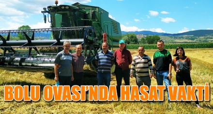 BOLU OVASI'NDA HASAT VAKTİ