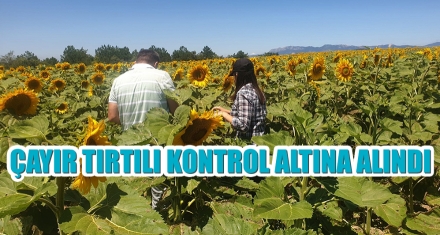 ÇAYIR TIRTILI KONTROL ALTINA ALINDI