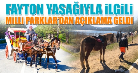 FAYTON YASAĞIYLA İLGİLİ MİLLİ PARKLAR'DAN AÇIKLAMA GELDİ