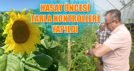 HASAT ÖNCESİ TARLA KONTROLLERİ YAPILDI