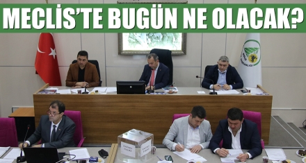 MECLİS'TE BUGÜN NE OLACAK?