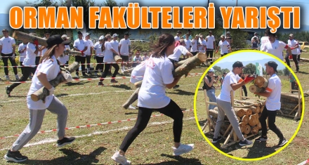 ORMAN FAKÜLTELERİ YARIŞTI