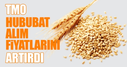 TMO HUBUBAT ALIM FİYATLARINI ARTIRDI