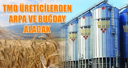 TMO ÜRETİCİLERDEN ARPA VE BUĞDAY ALACAK