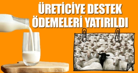 ÜRETİCİYE DESTEK ÖDEMELERİ YATIRILDI