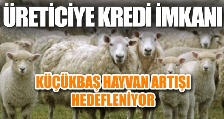 ÜRETİCİYE KREDİ İMKANI