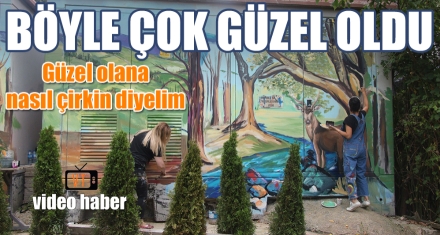 BÖYLE ÇOK GÜZEL OLDU