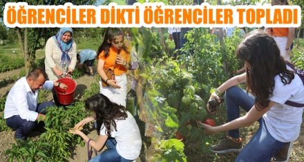 ÖĞRENCİLER DİKTİ ÖĞRENCİLER TOPLADI