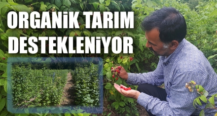 ORGANİK TARIM DESTEKLENİYOR