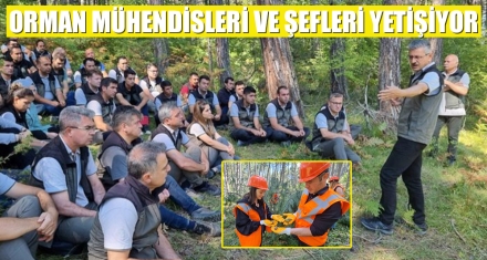 ORMAN MÜHENDİSLERİ VE ŞEFLERİ YETİŞİYOR
