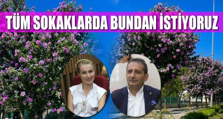 RENGARENK ÇİÇEK AÇTILAR