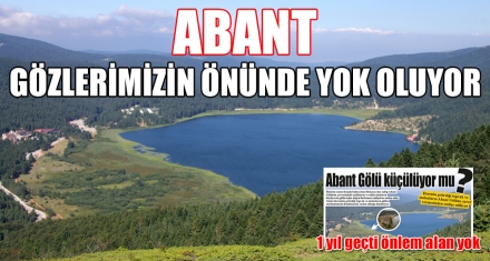 ABANT GÖZLERİMİZİN ÖNÜNDE YOK OLUYOR