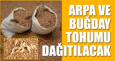 ARPA VE BUĞDAY TOHUMU DAĞITILACAK